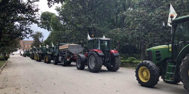caravana campo andaluz