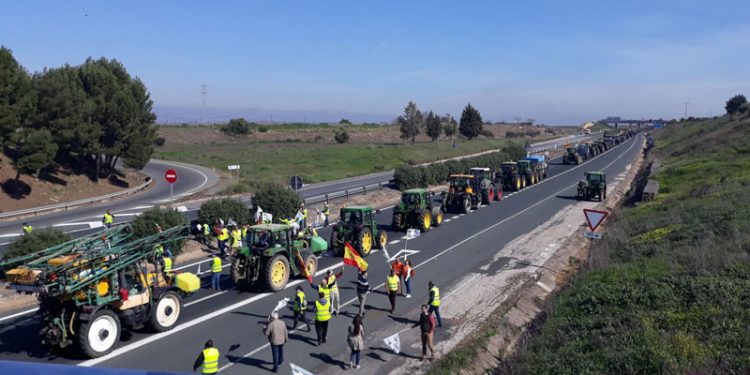 Una nueva tractorada recorrerá las calles de Córdoba tras los altercados del pasado miércoles 1 protesta agricultores jaen