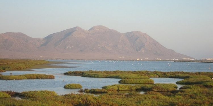 La organización SEO/Birdlife apremia a evitar la desecación de las Salinas de Cabo de Gata 1 Salinas Cabo de Gata Almería