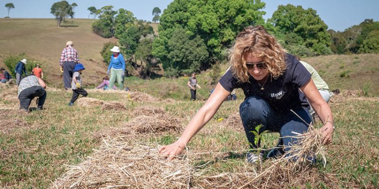 Andalucía cuenta con 3.000 entidades de voluntariado que crecen en casi 700 en diez años 1 Andalucía cuenta con 3.000 entidades de voluntariado que crecen en casi 700 en diez años