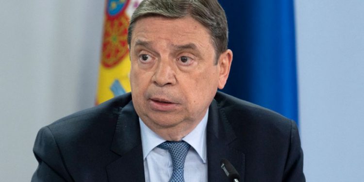 Planas convoca una nueva reunión para abordar medidas con las asociaciones agrarias 1 El Gobierno de España aprueba nuevas medidas urgentes para apoyar a los agricultores y ganaderos y paliar los efectos de la sequía