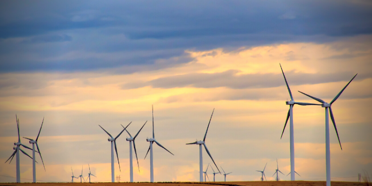 Las energías renovables, una oportunidad 1 Energía Eólica molinos viento