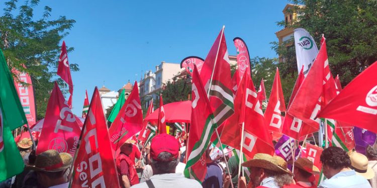 CCOO denuncia que el modelo de financiación universitaria de la Junta incumple el Pacto Social