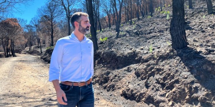 Fernández-Pacheco apuesta por un Gobierno "centrado, tranquilo y leal con Andalucía" 1 Fernández-Pacheco apuesta por un Gobierno «centrado, tranquilo y leal con Andalucía»