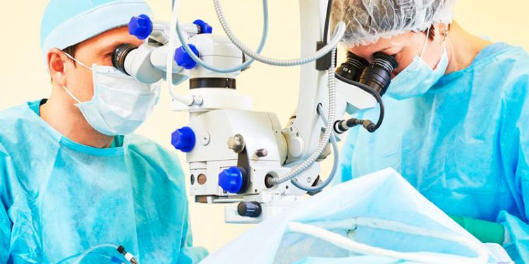 Agosto frena la racha positiva del empleo en Andalucía, aunque sigue la buena tendencia