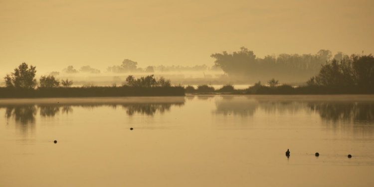 Si Doñana hablara 1 Si Doñana hablara