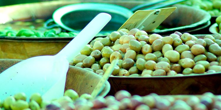 Andalucía, líder de ventas de aceitunas con una factura de récord de 470 millones 1 Andalucía, líder de ventas de aceitunas con una factura de récord de 470 millones
