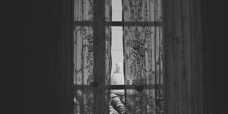 Desde mi ventana 1 Desde mi ventana