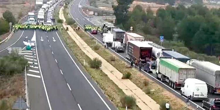 Parte del campo andaluz regresa a los cortes en las carreteras en la tercera jornada de protestas 1 Parte del campo andaluz regresa a los cortes en las carreteras en la tercera jornada de protestas