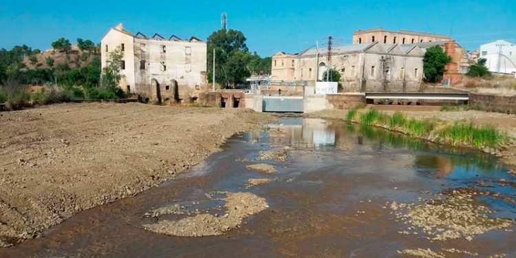 LA CHG inicia los trabajos de mejora en el río Guadiana