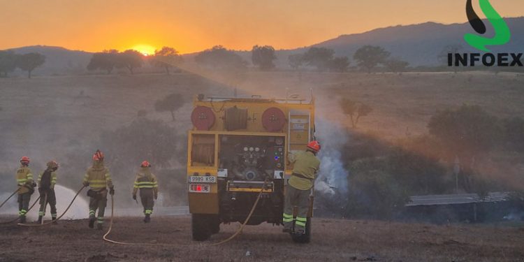 Extremadura registra 18 incendios forestales durante la última semana con intervención del INFOEX 1 Extremadura registra 18 incendios forestales durante la última semana con intervención del INFOEX