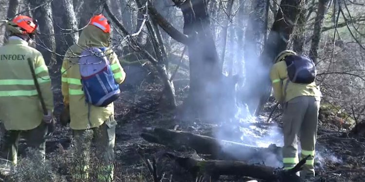 El Infoex interviene en una treintena de incidentes en la última semana de junio