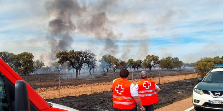 Estabilizado el incendio forestal en las cercanías del cuartel de Bótoa de Badajoz