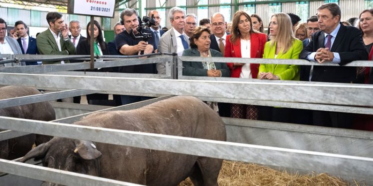 Tradición, innovación y sostenibilidad en la Feria Internacional Ganadera de Zafra 1 Tradición, innovación y sostenibilidad en la Feria Internacional Ganadera de Zafra