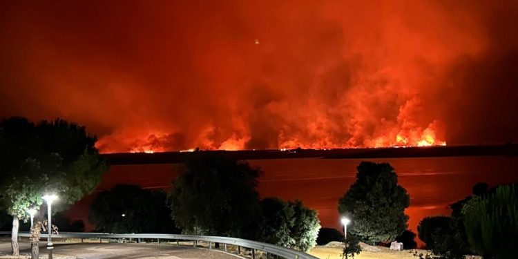 Extremadura activa el nivel 1 por incendios forestales en cuatro municipios en menos de 24 horas 1 Extremadura activa el nivel 1 por incendios forestales en cuatro municipios en menos de 24 horas