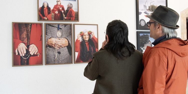 La exposición fotográfica “Yo quiero un novio aceitunero” inicia su recorrido por la provincia de Cáceres 1 La exposición fotográfica “Yo quiero un novio aceitunero” inicia su recorrido por la provincia de Cáceres
