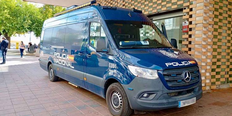 Hombre en La Vera bajo investigación por lanzar ocho cachorros recién nacidos a un arroyo 1 Hombre en La Vera bajo investigacion por lanzar ocho cachorros recien nacidos a