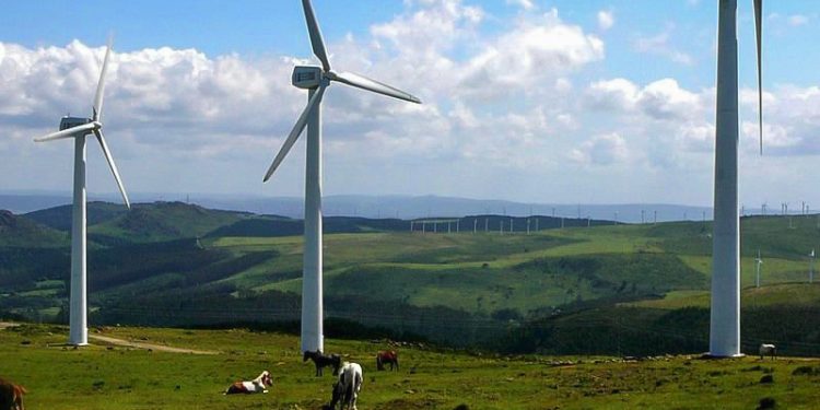 La IGP Ternera de Extremadura cumple 25 años: Éxitos y desafíos en la certificación 1 La IGP Ternera de Extremadura cumple 25 anos Exitos y desafios en la certificaci